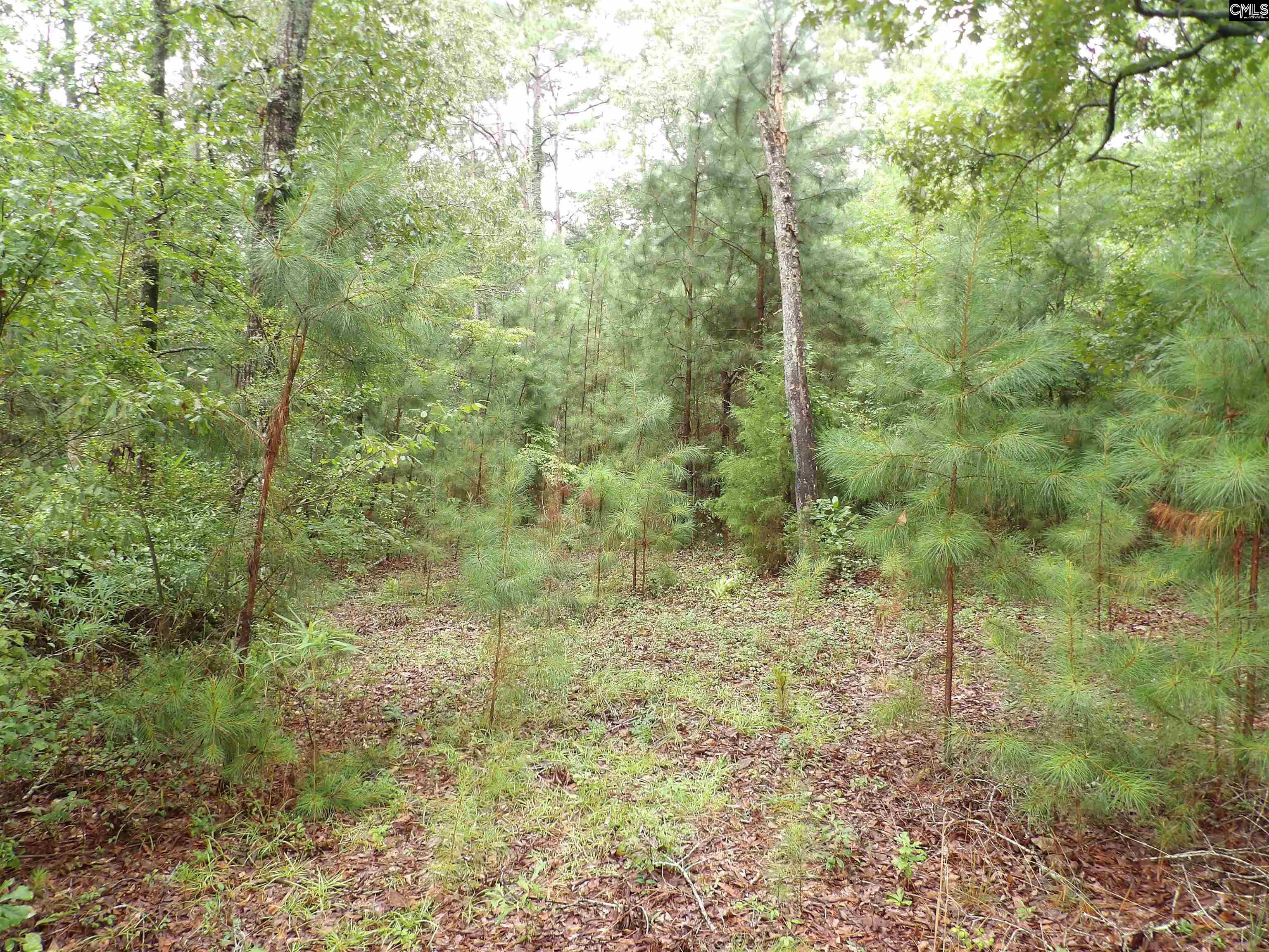 4610 Platt Springs Road, West Columbia, South Carolina image 11