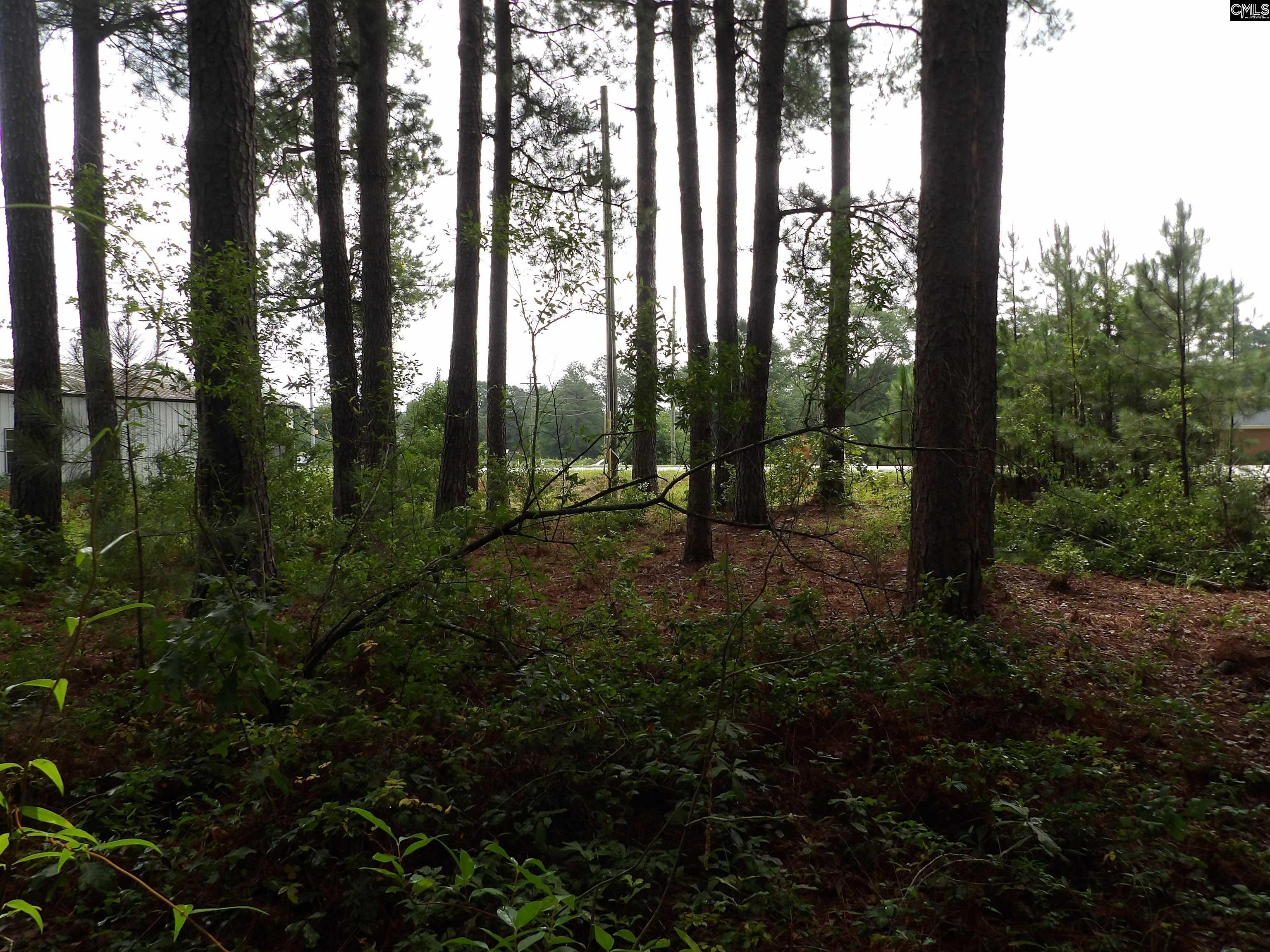 4610 Platt Springs Road, West Columbia, South Carolina image 12