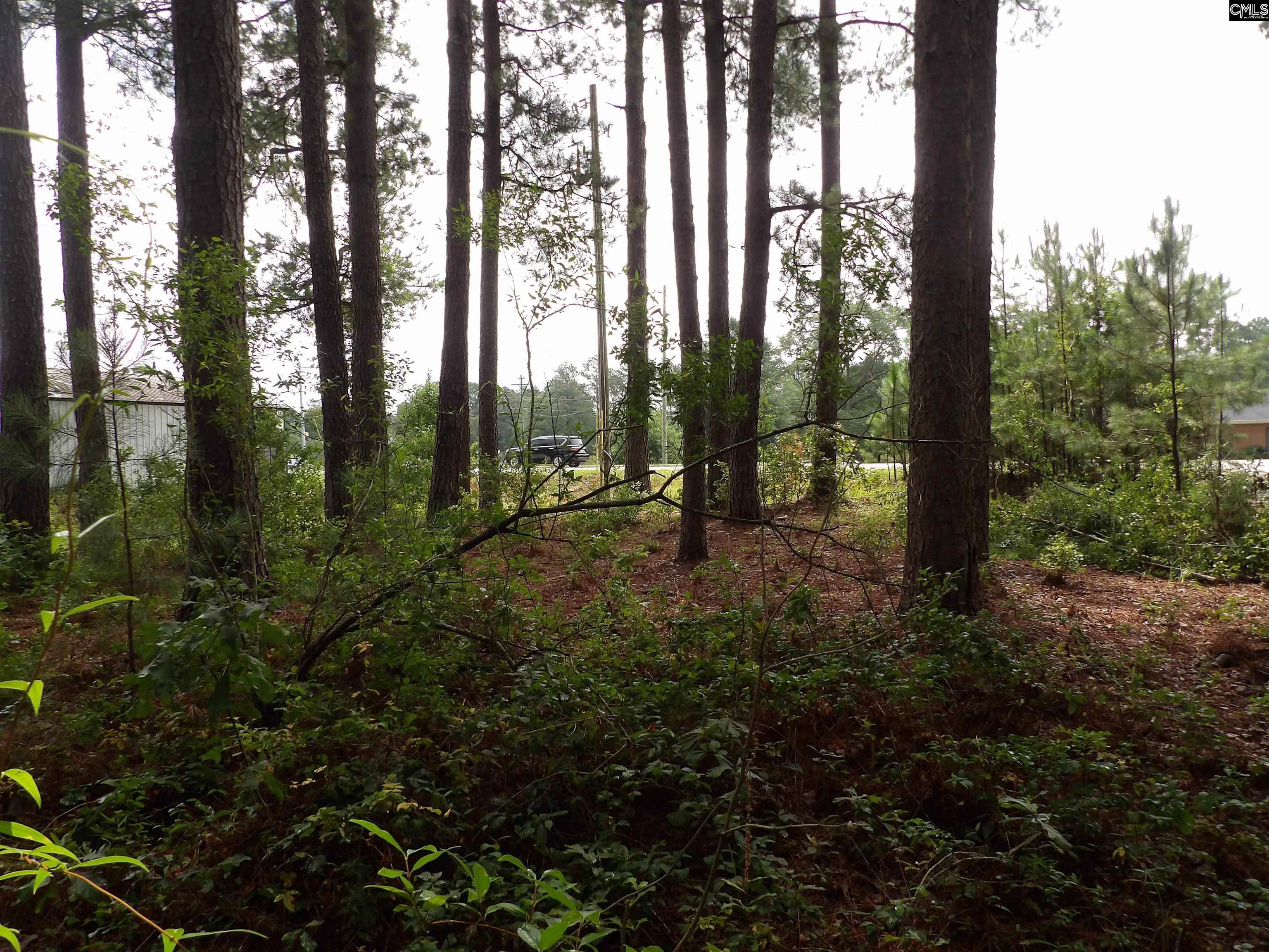 4610 Platt Springs Road, West Columbia, South Carolina image 13