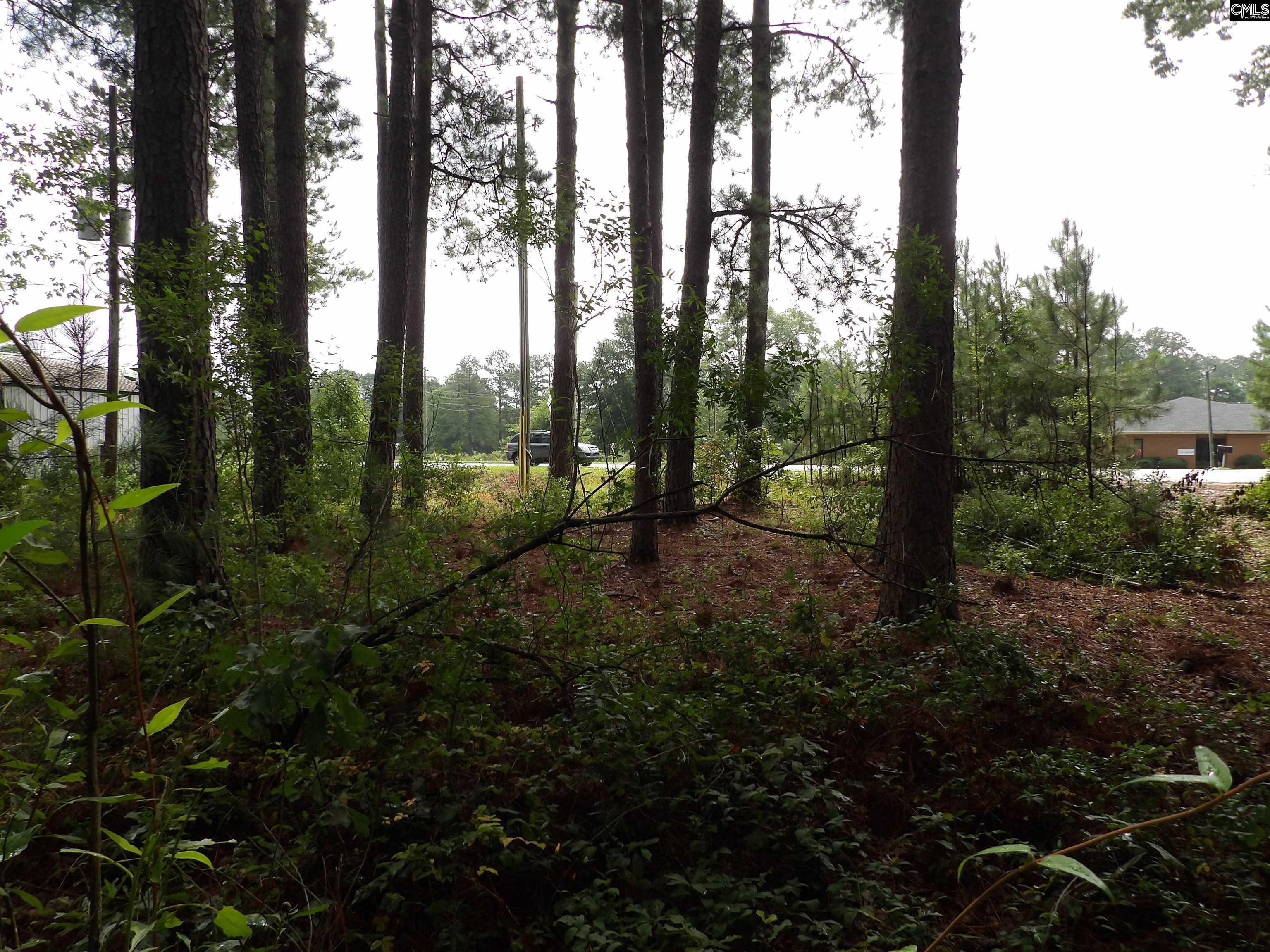 4610 Platt Springs Road, West Columbia, South Carolina image 14