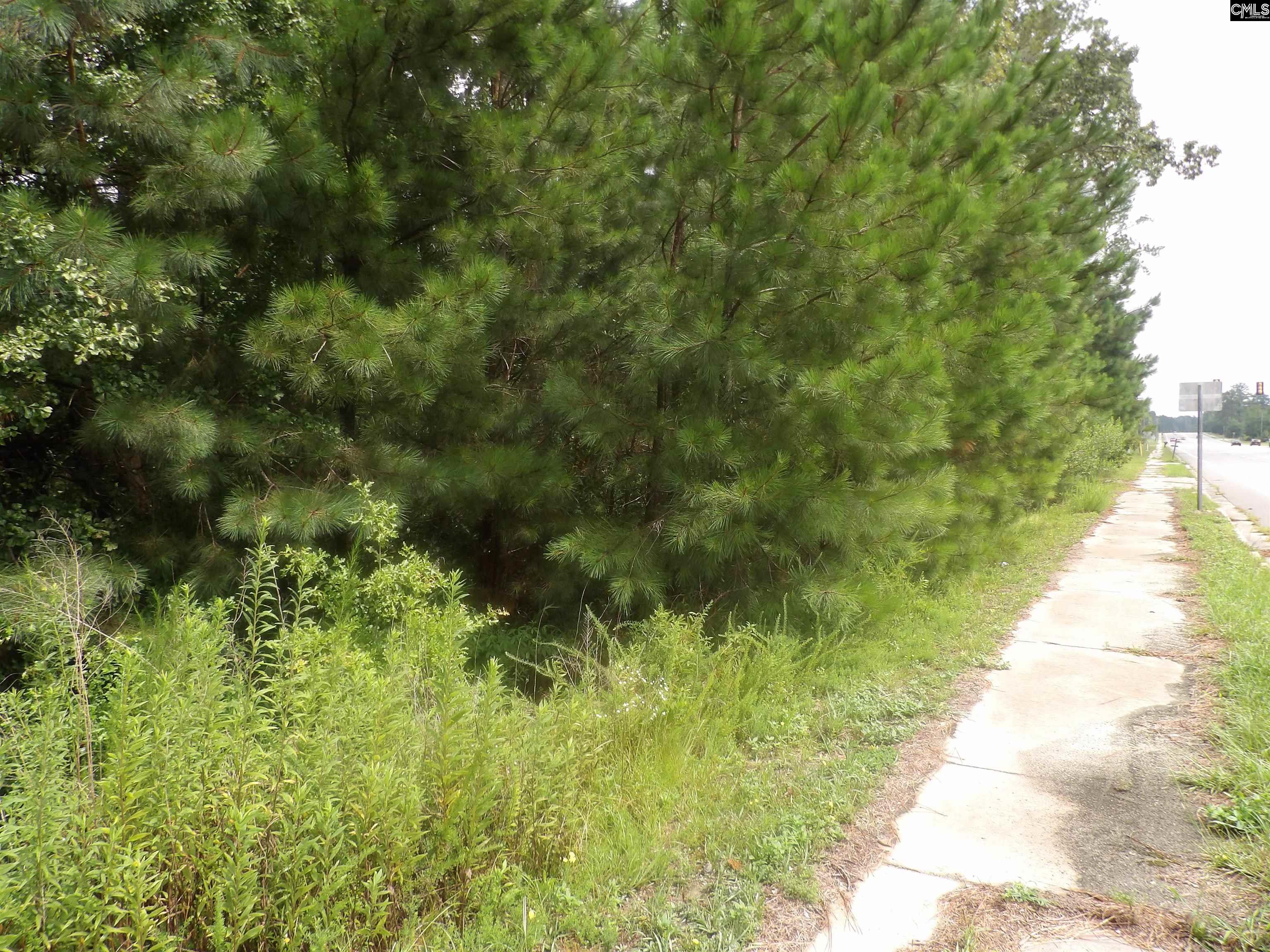 4610 Platt Springs Road, West Columbia, South Carolina image 7