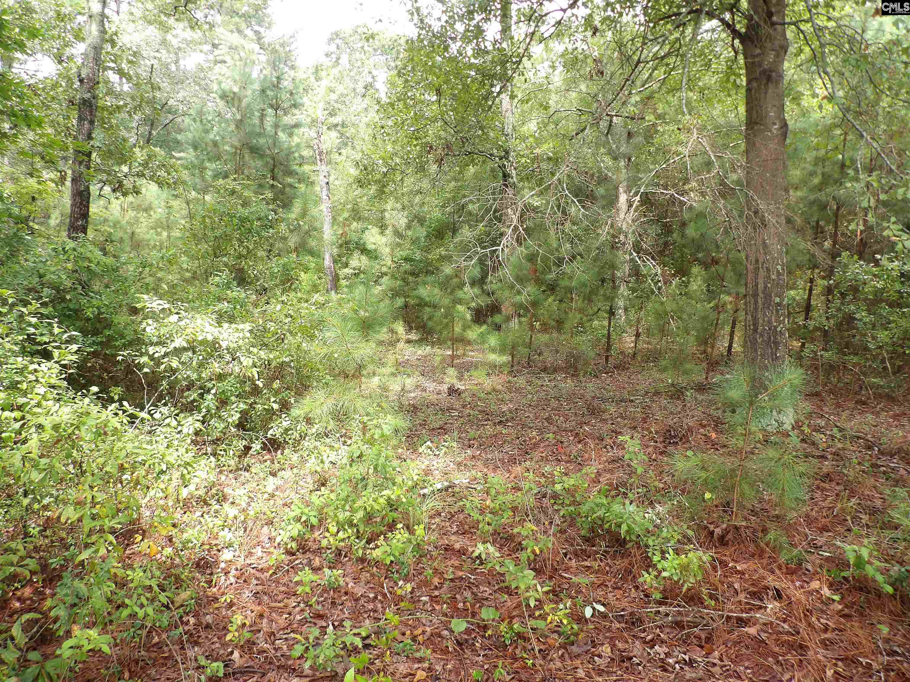 4610 Platt Springs Road, West Columbia, South Carolina image 10