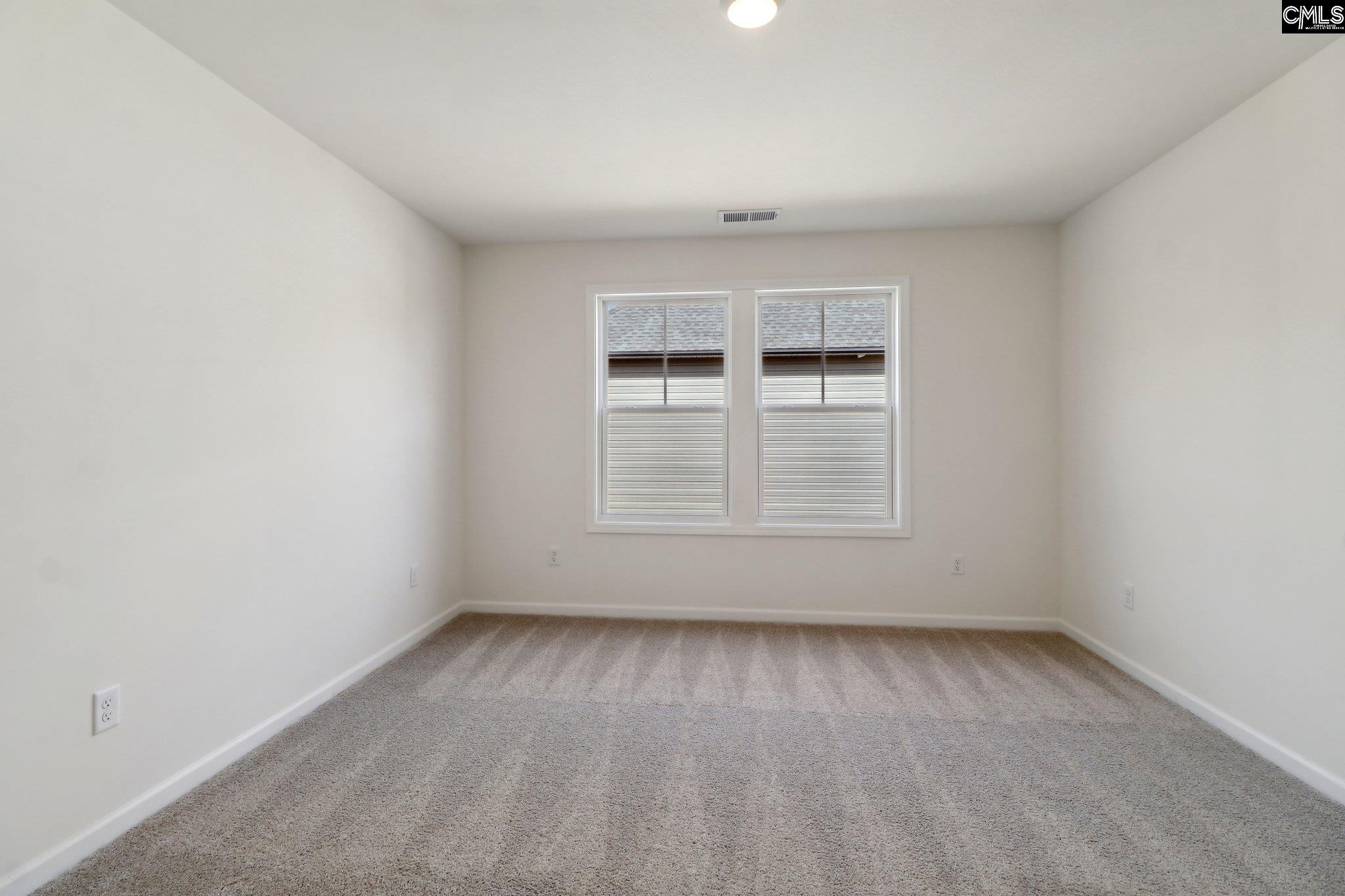 546 Griffon Drive, Chapin, South Carolina image 13