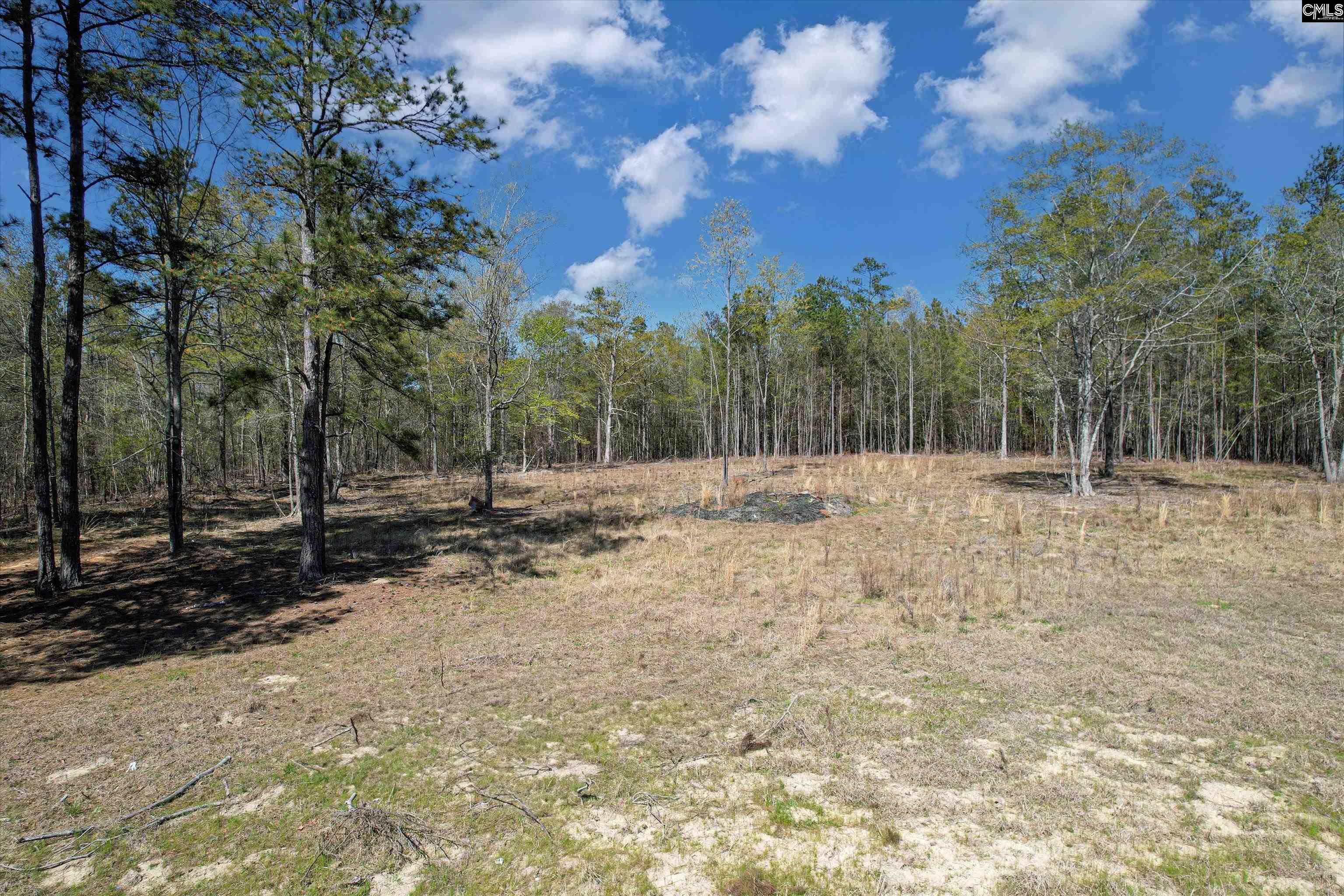 573 Qualls Road, Ridgeway, South Carolina image 2