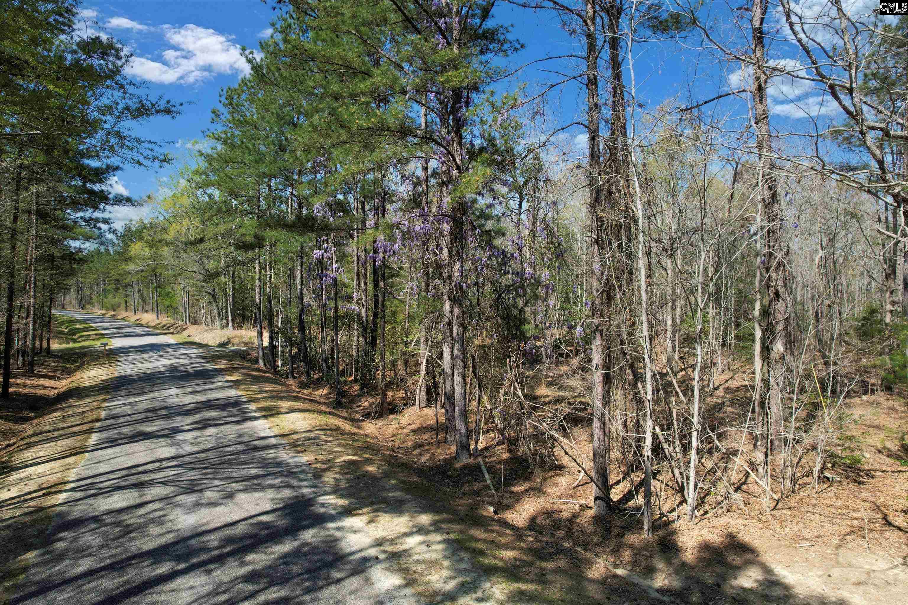 573 Qualls Road, Ridgeway, South Carolina image 3
