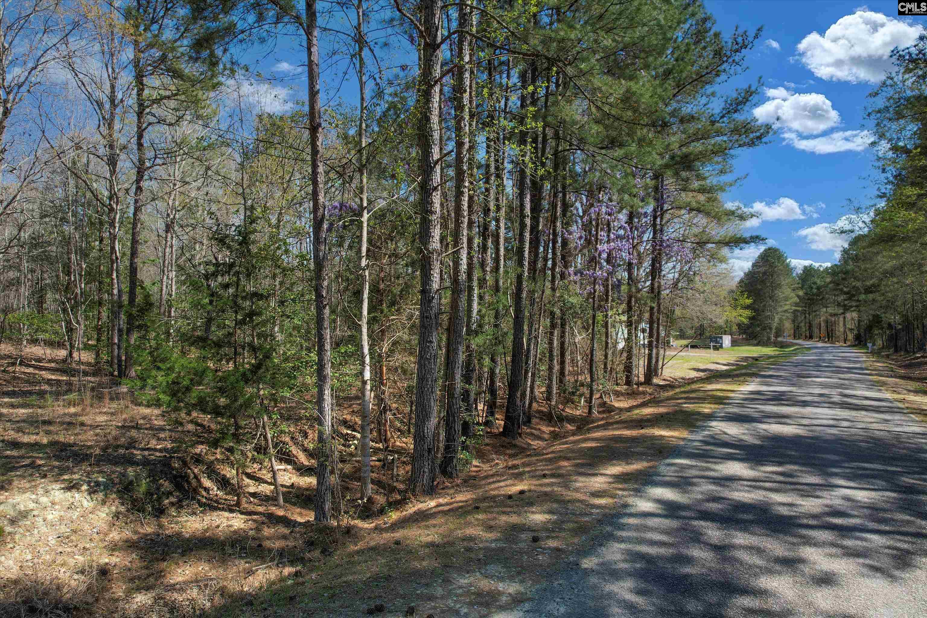 573 Qualls Road, Ridgeway, South Carolina image 4