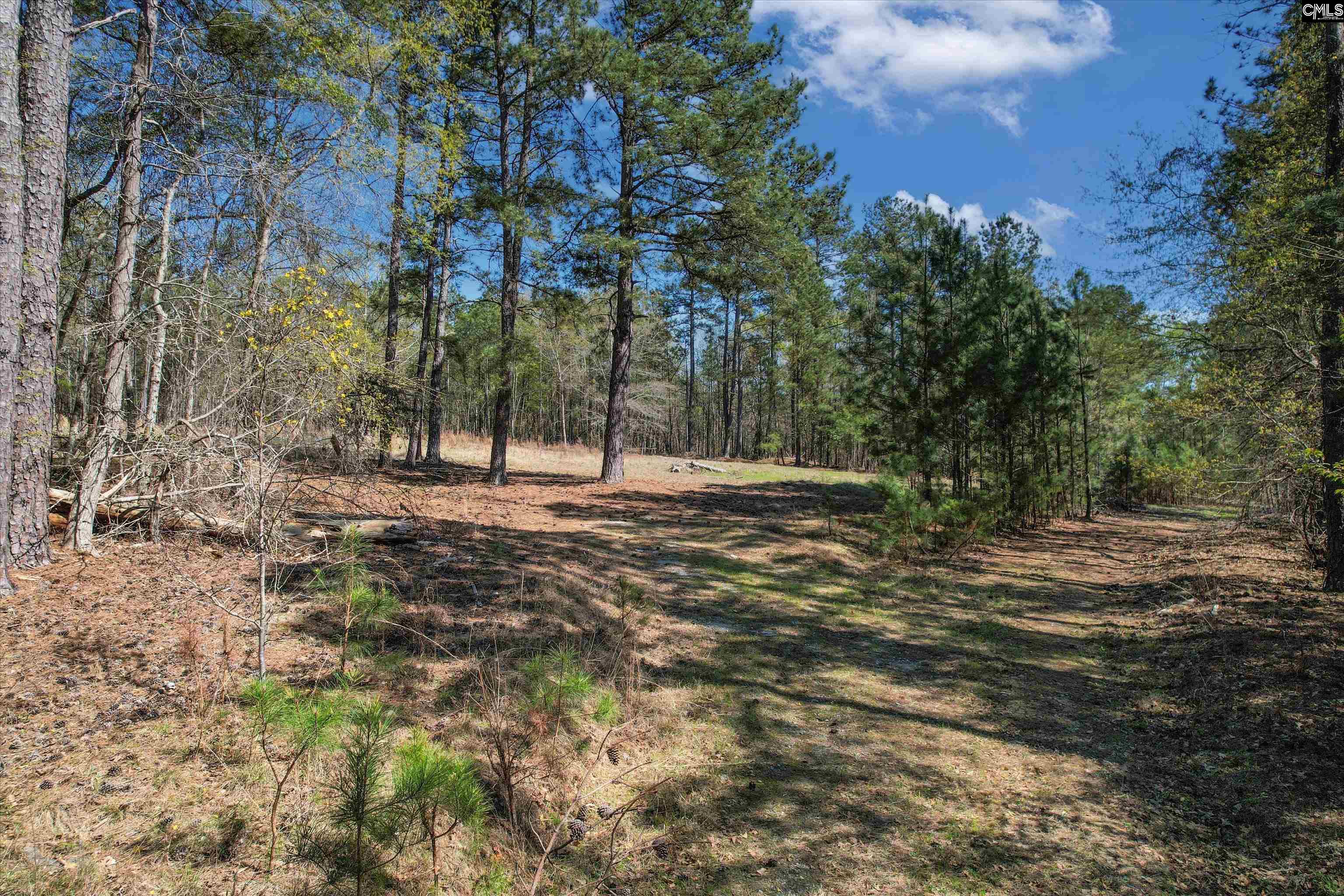 573 Qualls Road, Ridgeway, South Carolina image 7