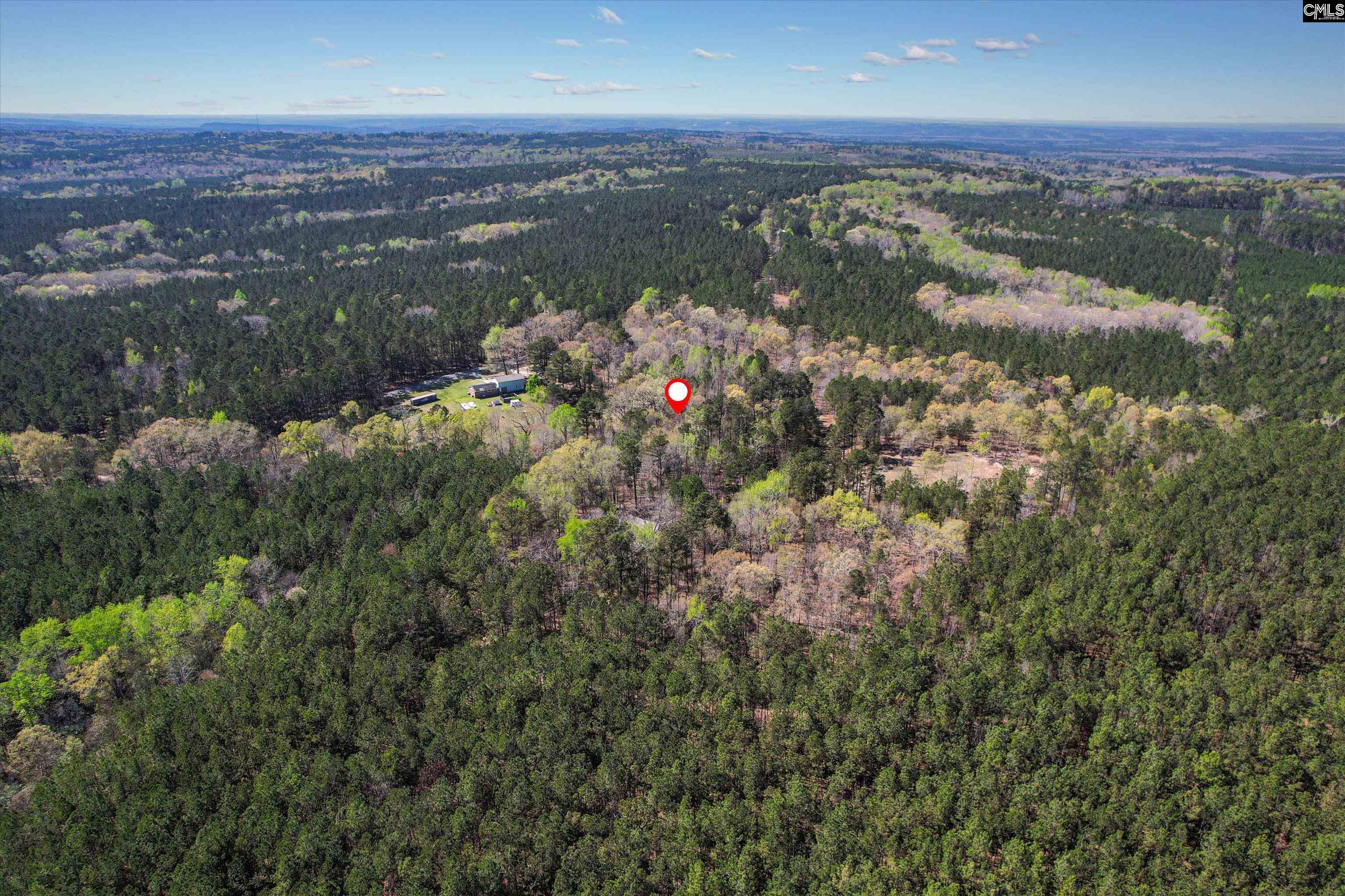 573 Qualls Road, Ridgeway, South Carolina image 10