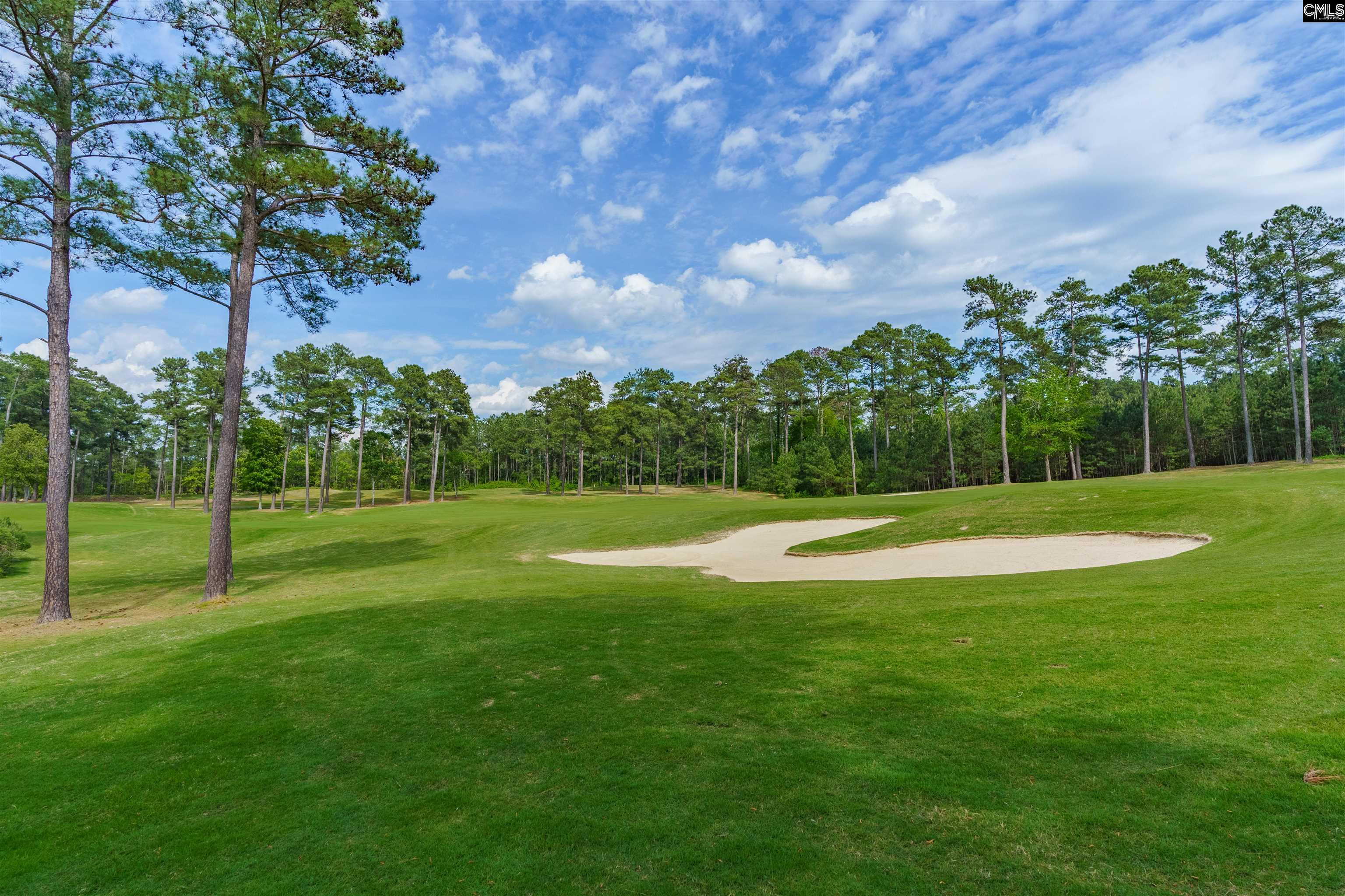 158 Crimson Queen Drive Blythewood, SC 29016