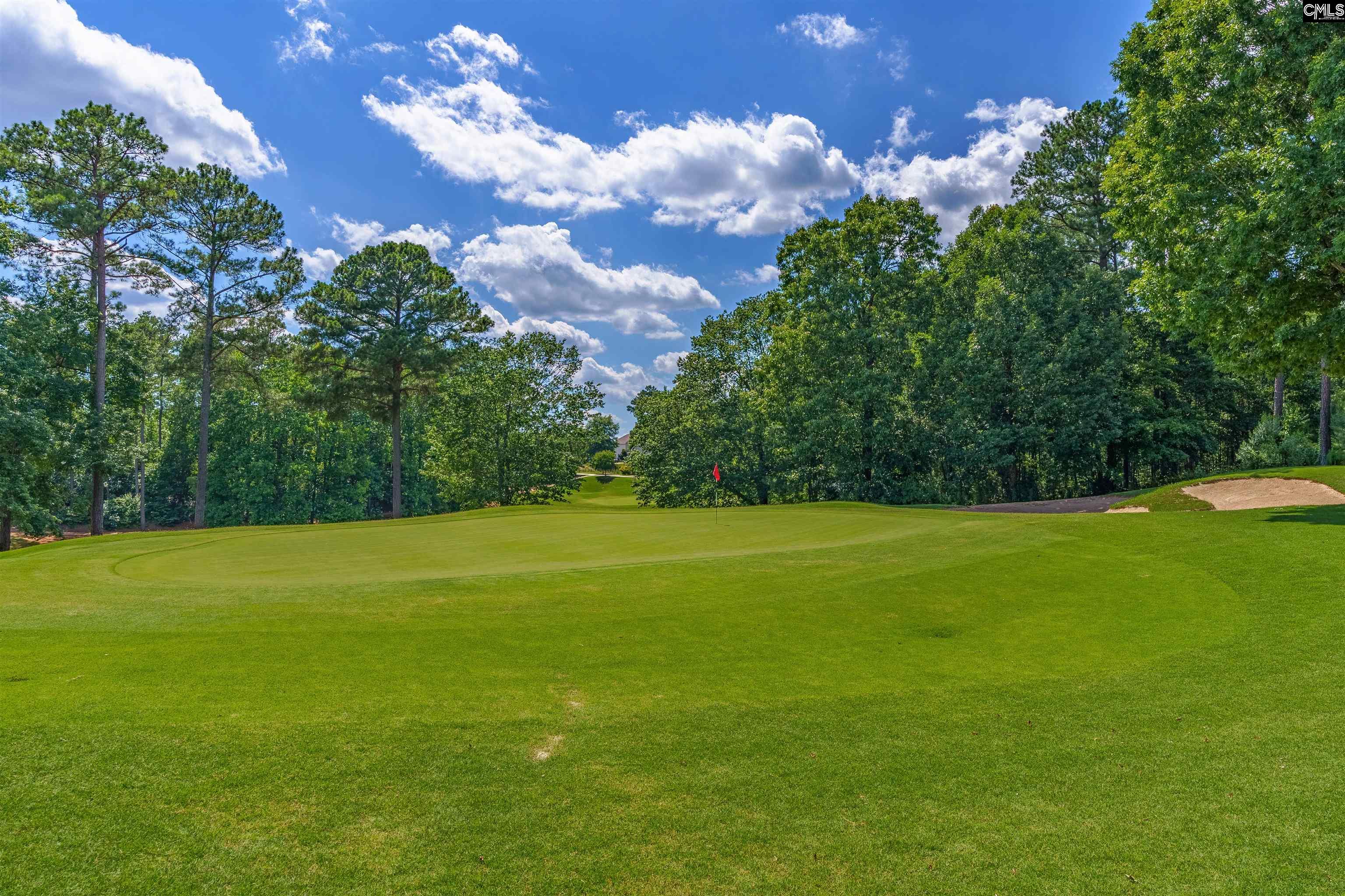 158 Crimson Queen Drive Blythewood, SC 29016