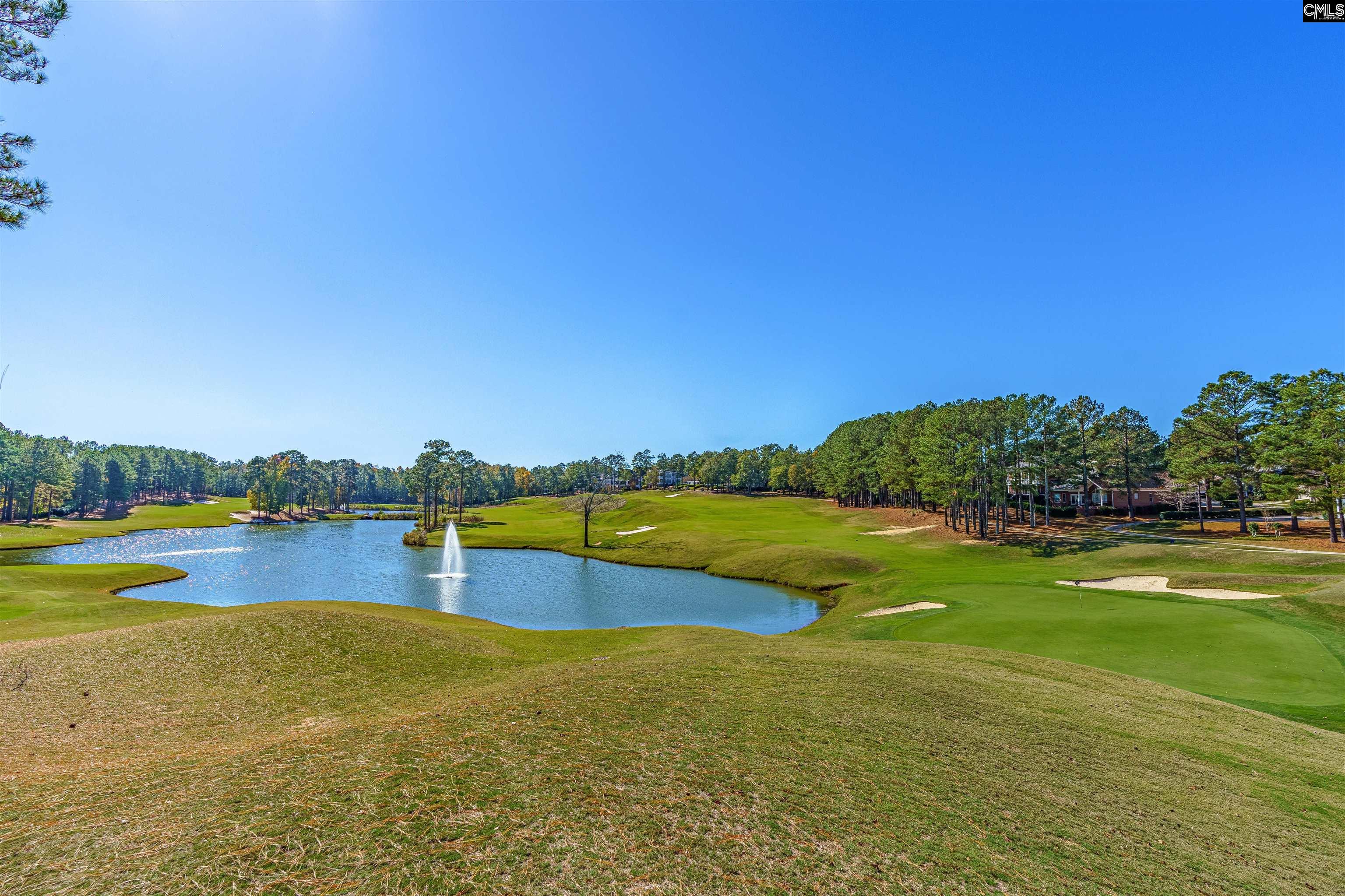 158 Crimson Queen Drive Blythewood, SC 29016