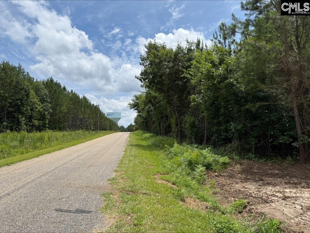Rinehart Road Batesburg, SC 29070-7368
