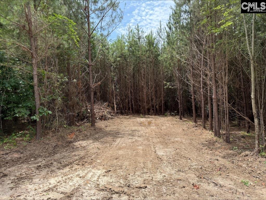Rinehart Road Batesburg, SC 29070-7368