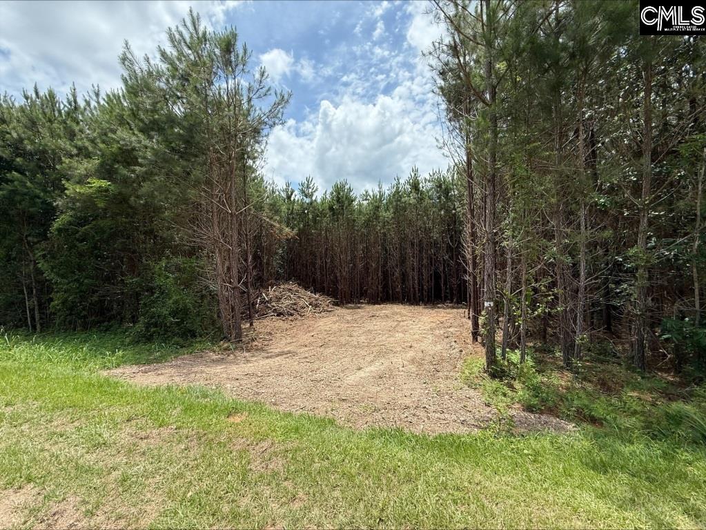 Rinehart Road Batesburg, SC 29070-7368