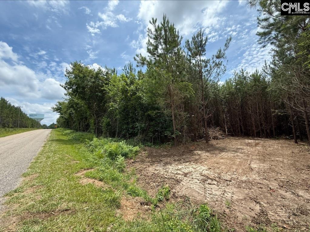 Rinehart Road Batesburg, SC 29070-7368