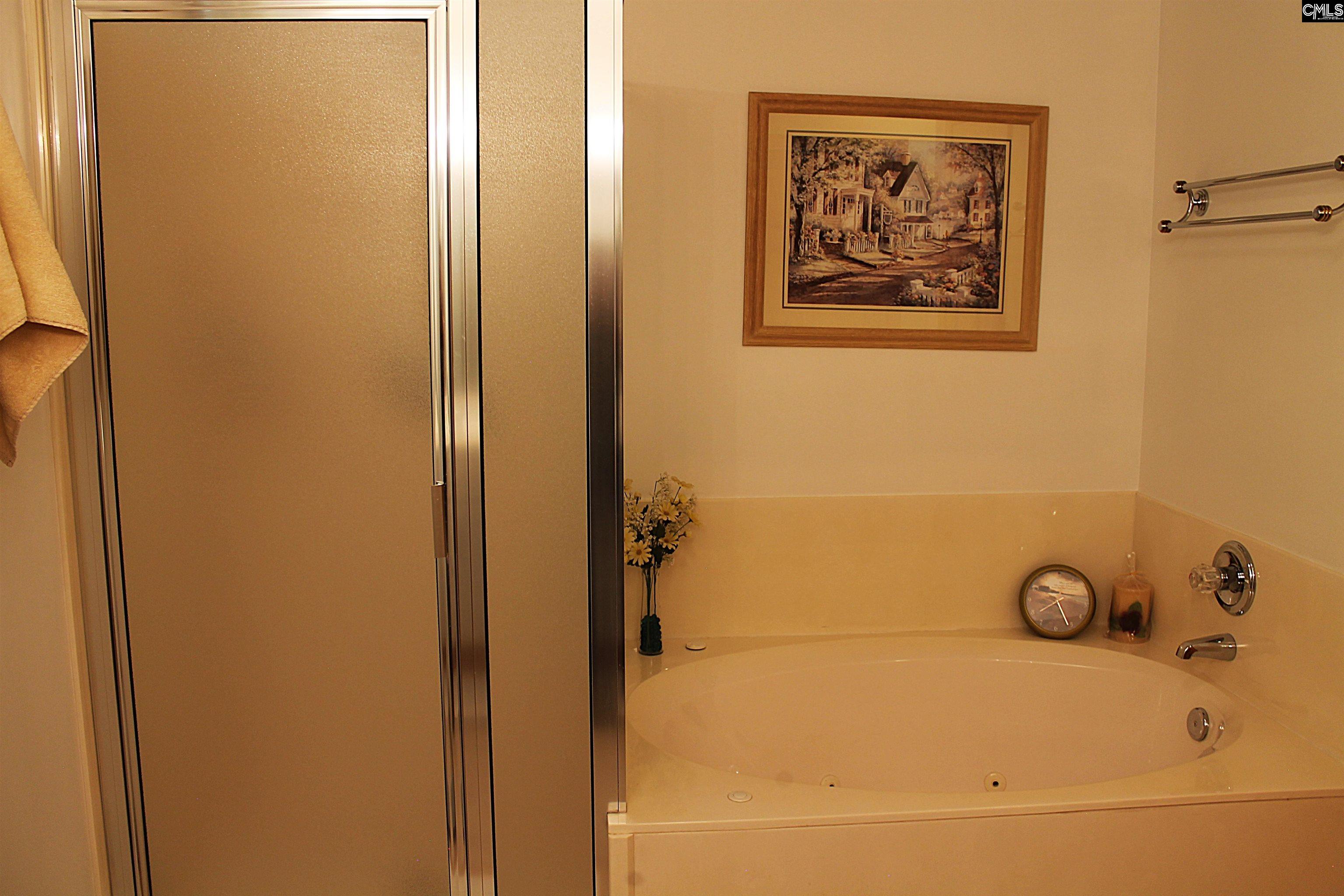 715 Murray Lindler Road, Chapin, South Carolina image 23