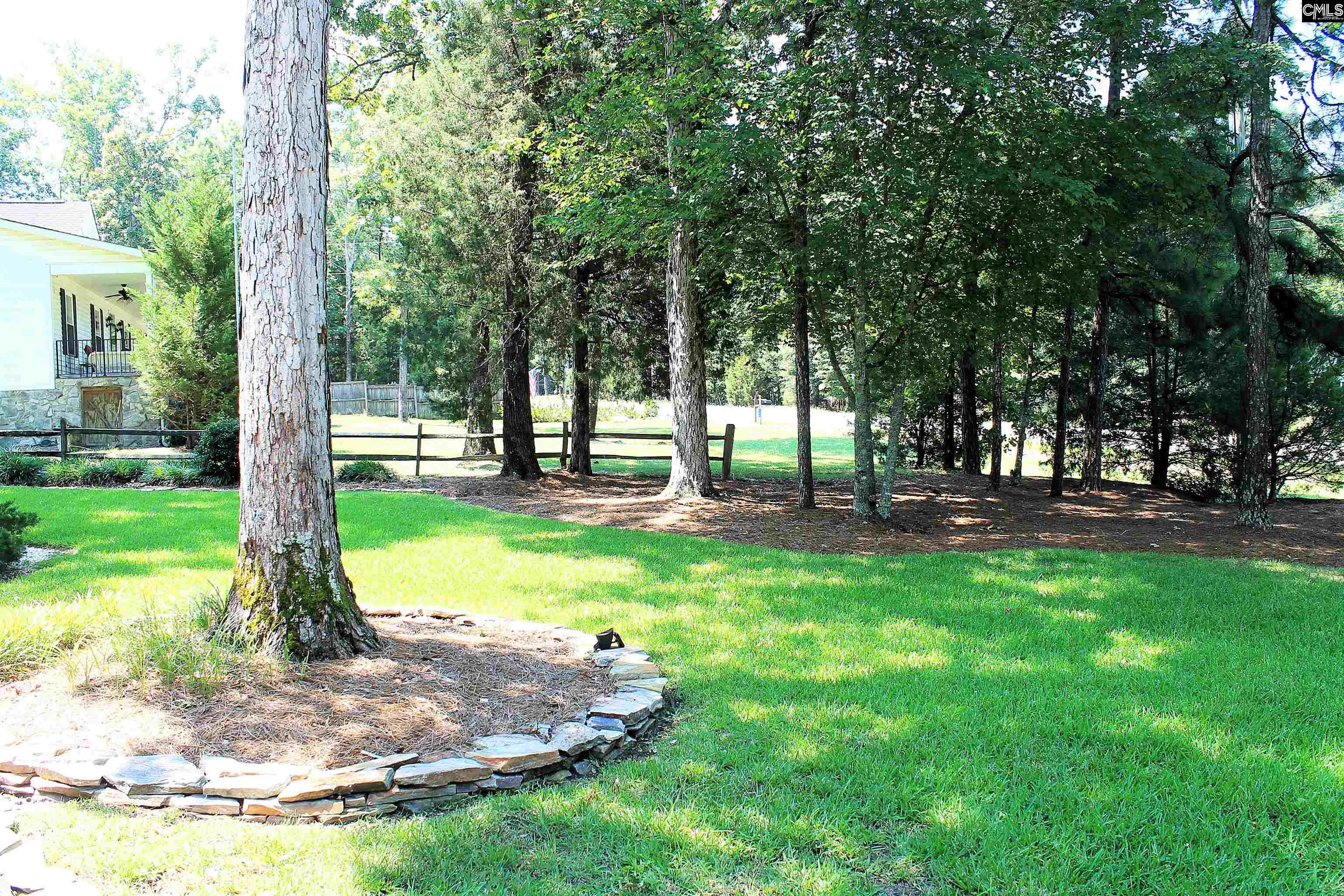 715 Murray Lindler Road, Chapin, South Carolina image 4