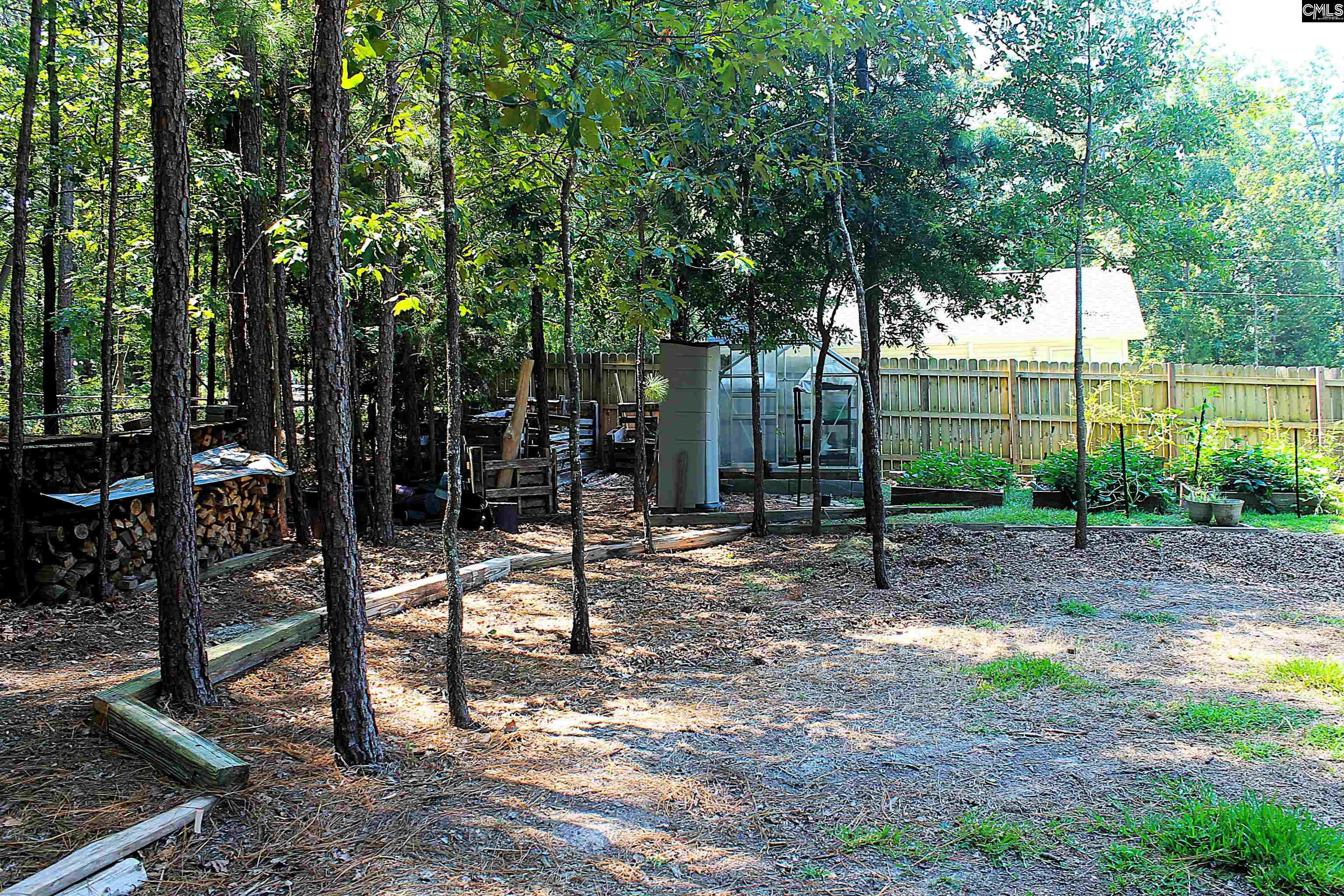 715 Murray Lindler Road, Chapin, South Carolina image 36