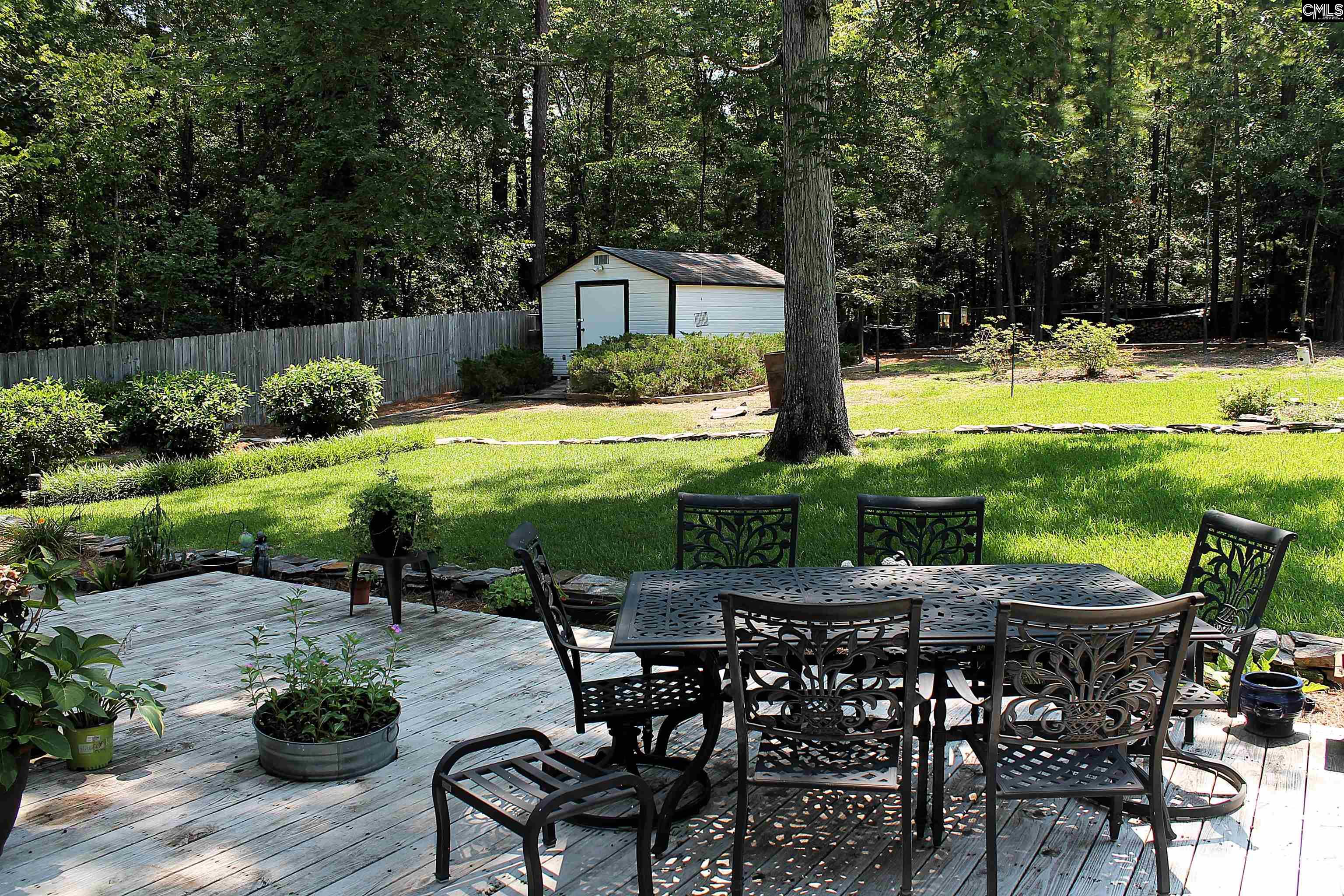 715 Murray Lindler Road, Chapin, South Carolina image 41