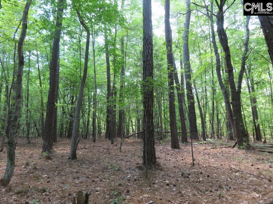 Park Road, Ridgeway, South Carolina image 1