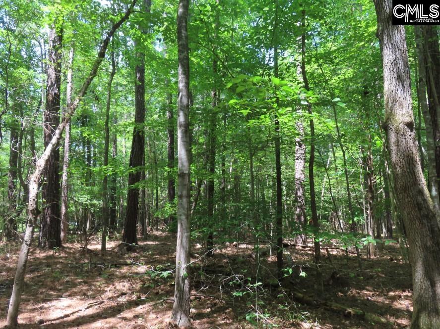 Park Road, Ridgeway, South Carolina image 12