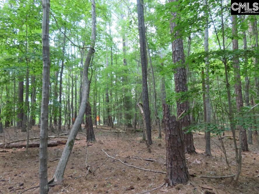 Park Road, Ridgeway, South Carolina image 13