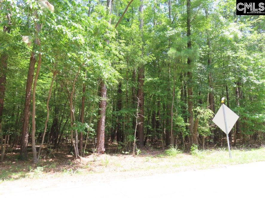 Park Road, Ridgeway, South Carolina image 14