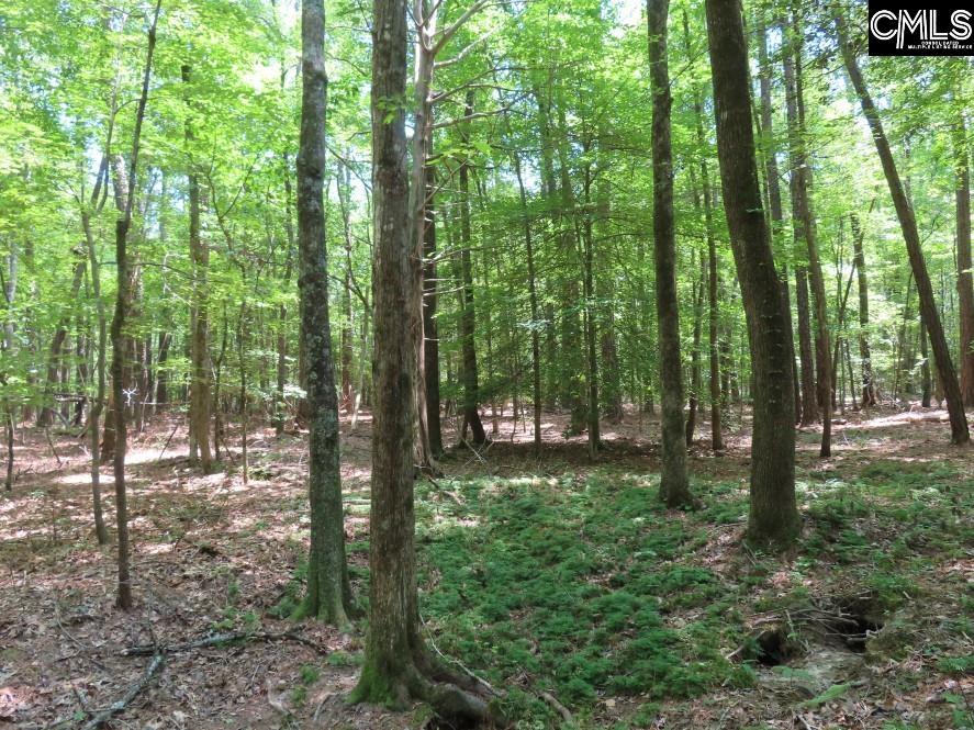 Park Road, Ridgeway, South Carolina image 15