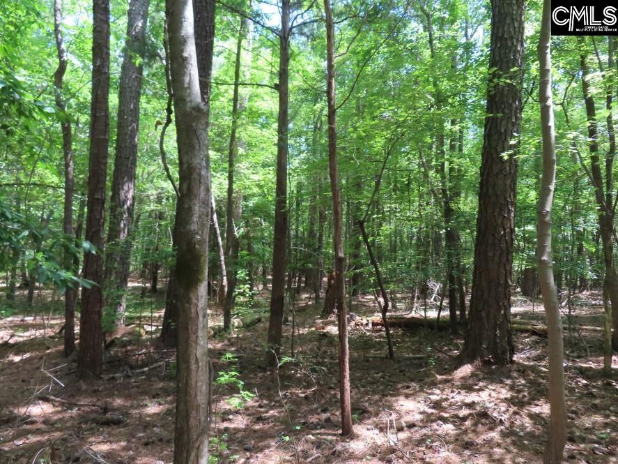 Park Road, Ridgeway, South Carolina image 17