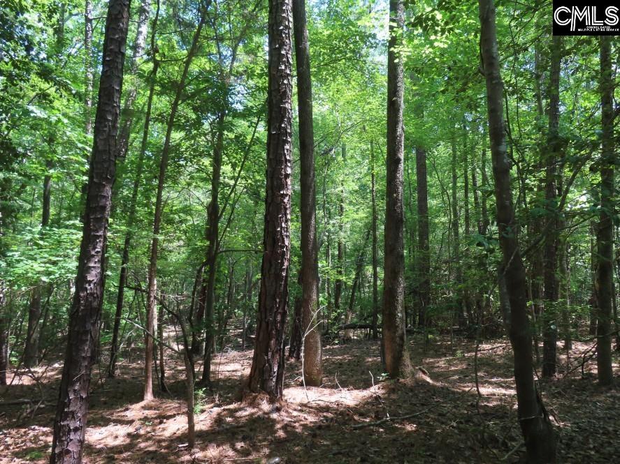 Park Road, Ridgeway, South Carolina image 18