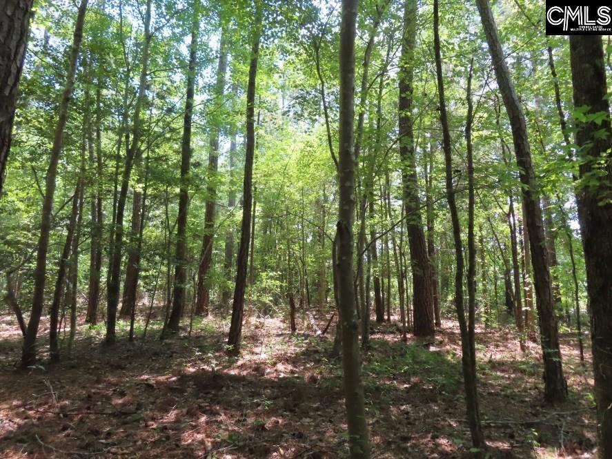 Park Road, Ridgeway, South Carolina image 21