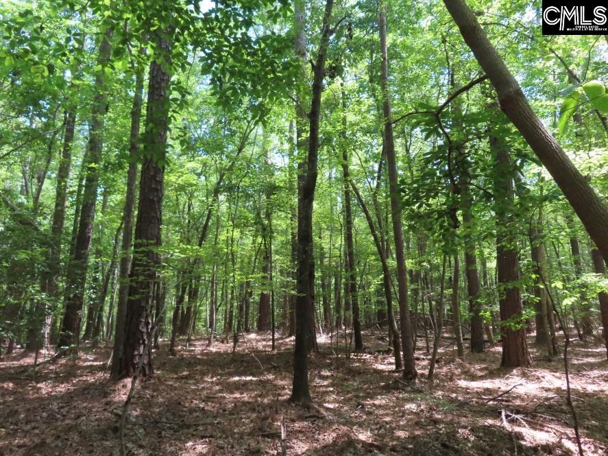 Park Road, Ridgeway, South Carolina image 22