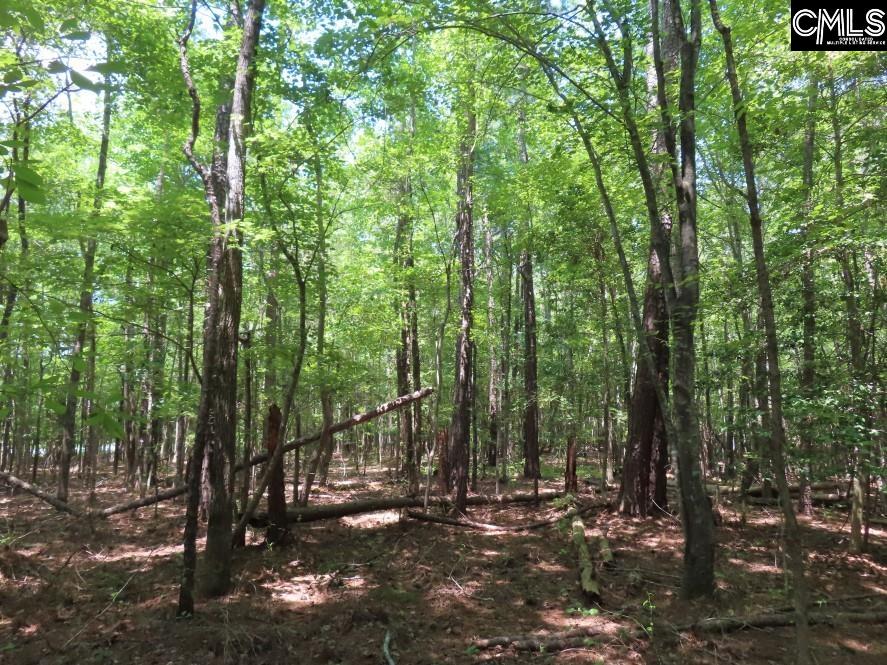 Park Road, Ridgeway, South Carolina image 23