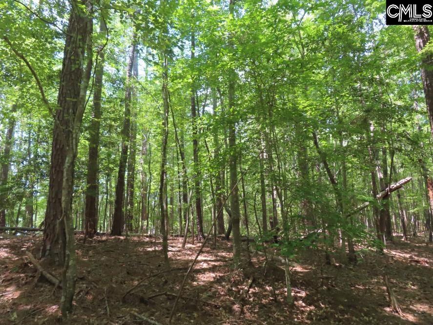 Park Road, Ridgeway, South Carolina image 24