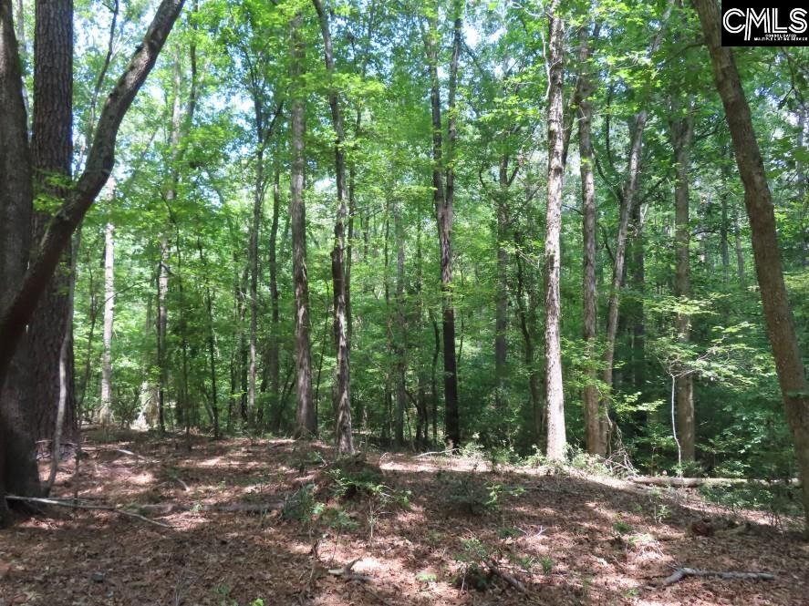 Park Road, Ridgeway, South Carolina image 28