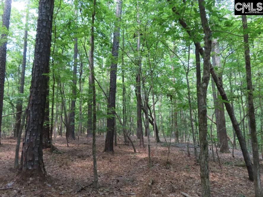 Park Road, Ridgeway, South Carolina image 31