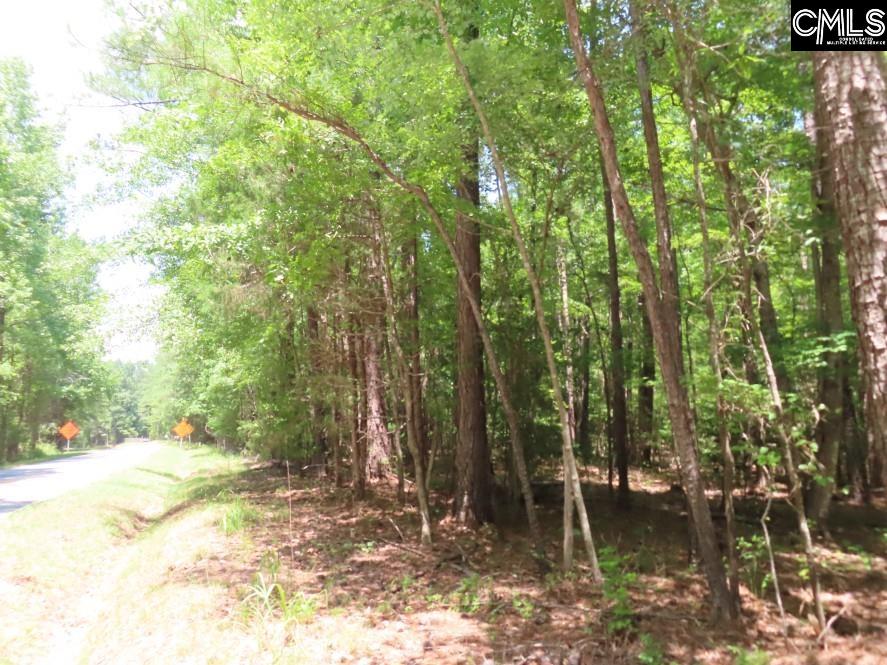 Park Road, Ridgeway, South Carolina image 32