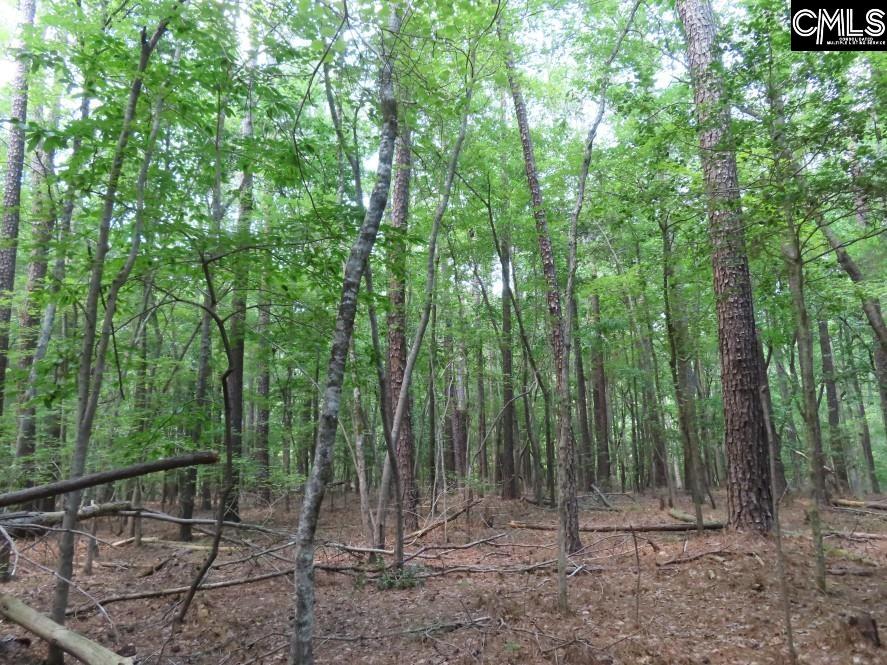 Park Road, Ridgeway, South Carolina image 33