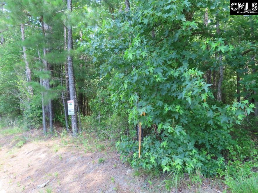 Park Road, Ridgeway, South Carolina image 35