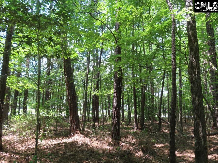 Park Road, Ridgeway, South Carolina image 37
