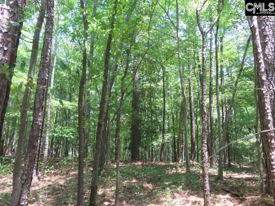 Park Road, Ridgeway, South Carolina image 39