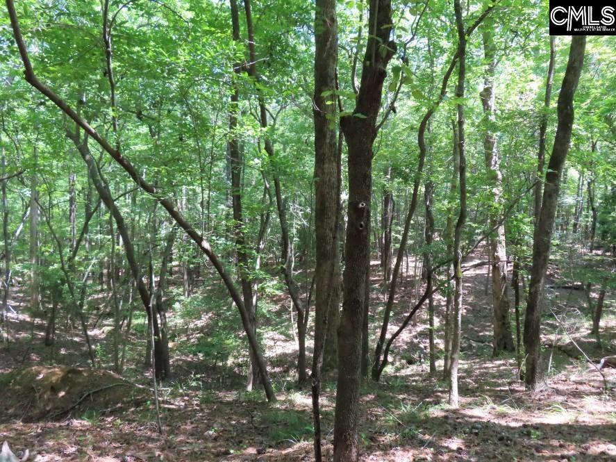 Park Road, Ridgeway, South Carolina image 44