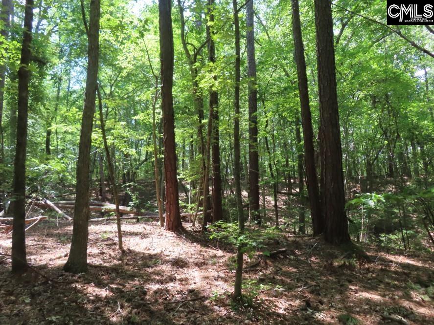 Park Road, Ridgeway, South Carolina image 45