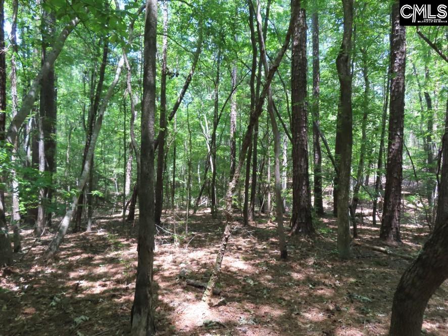 Park Road, Ridgeway, South Carolina image 46