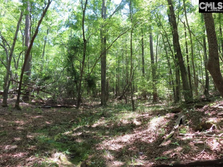 Park Road, Ridgeway, South Carolina image 6