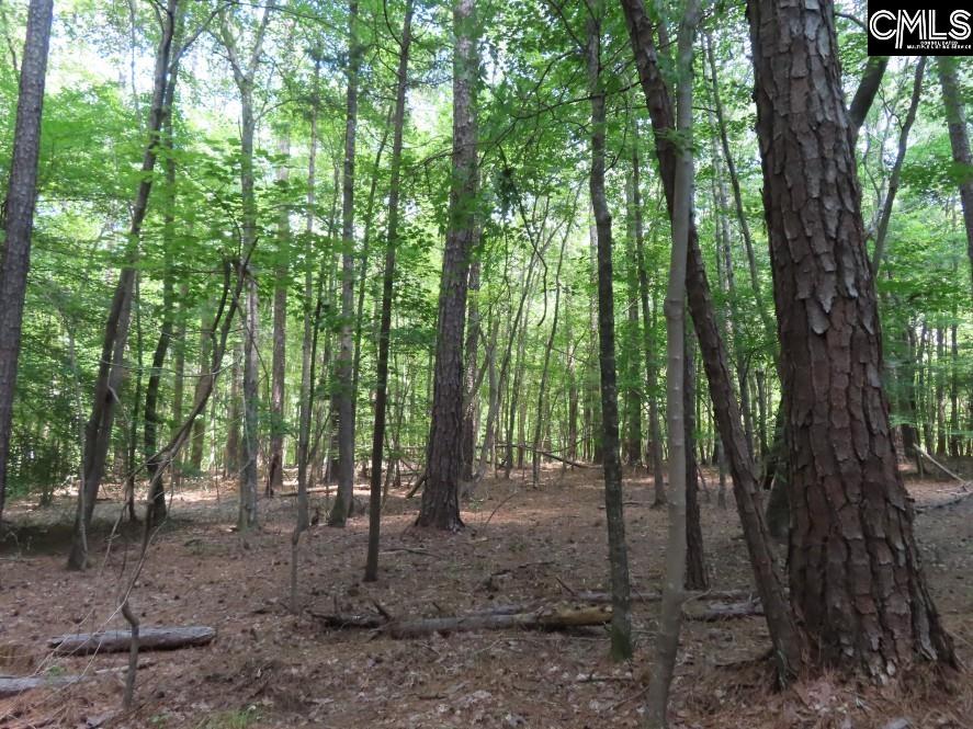 Park Road, Ridgeway, South Carolina image 7
