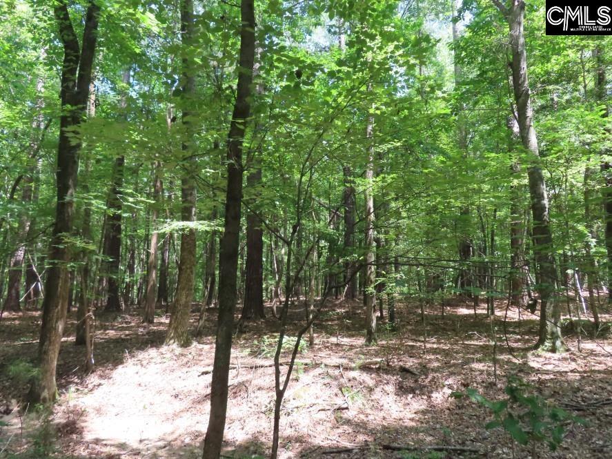 Park Road, Ridgeway, South Carolina image 9