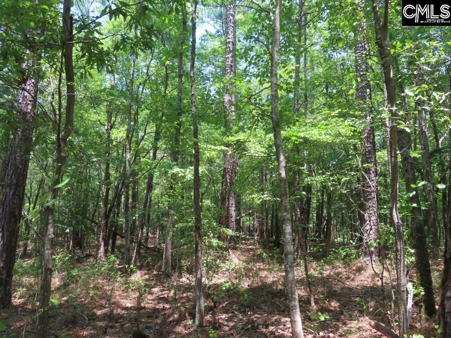 Park Road, Ridgeway, South Carolina image 10