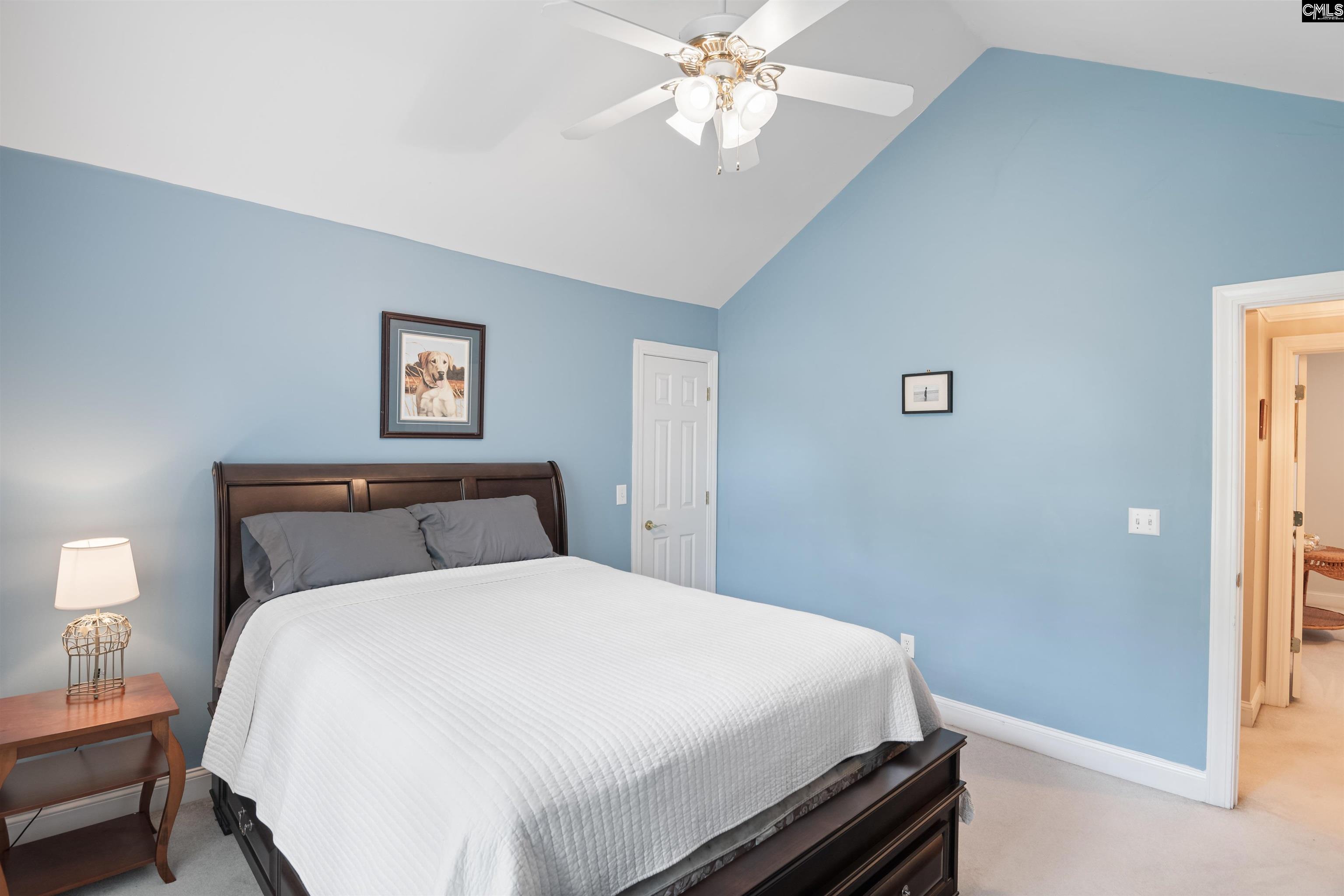 101 Club Court, Chapin, South Carolina image 30