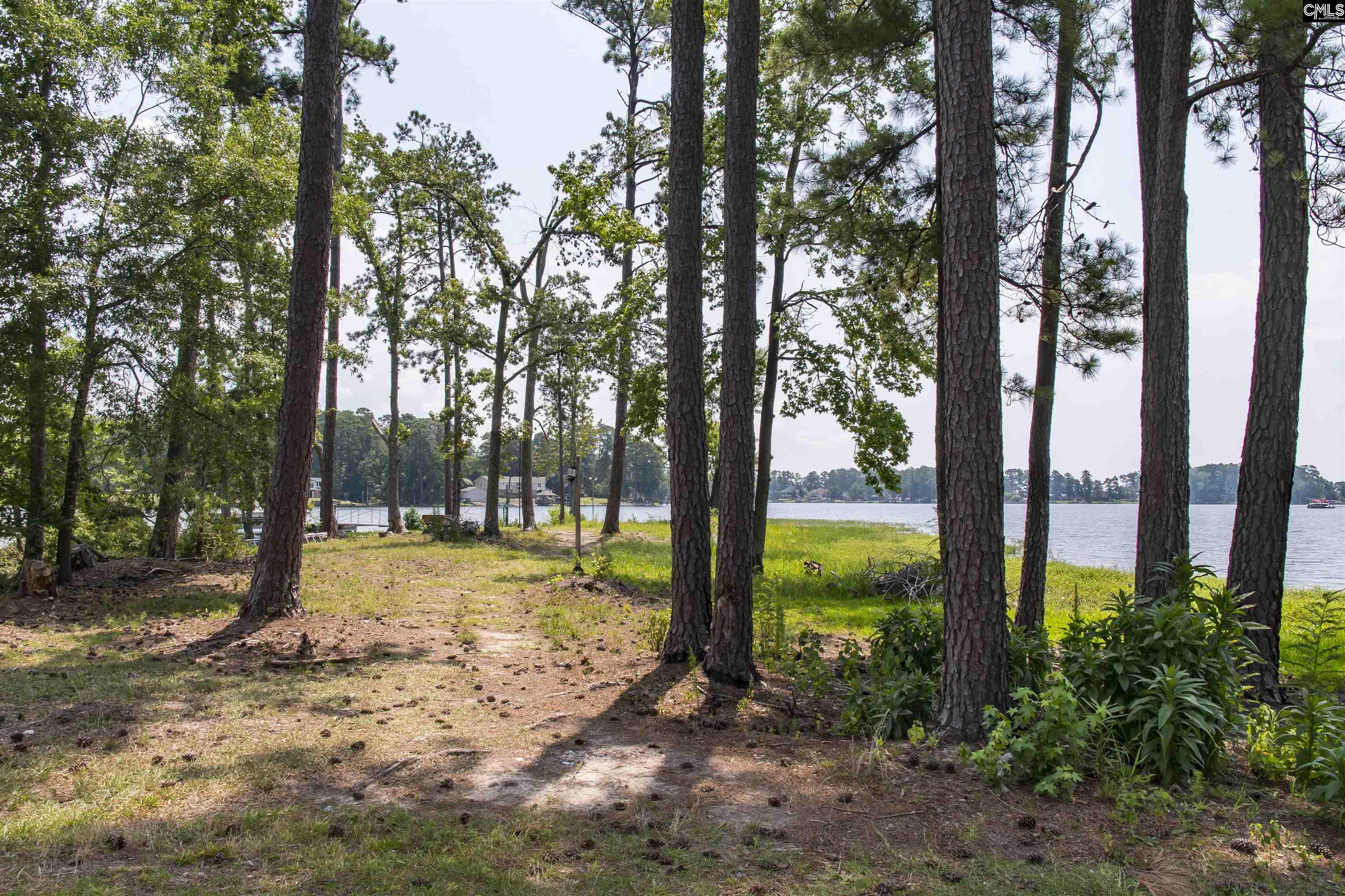 124 Bri Lor Court, Chapin, South Carolina image 48